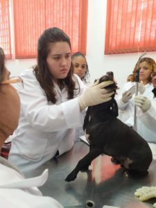 Auxiliar de Veterinária